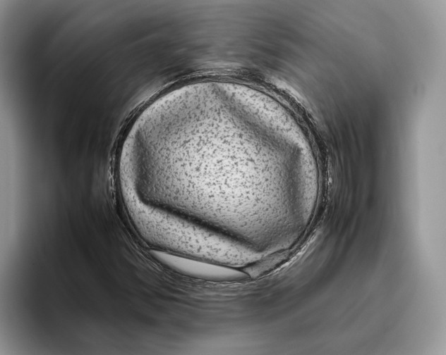 X0000095941354200802011033