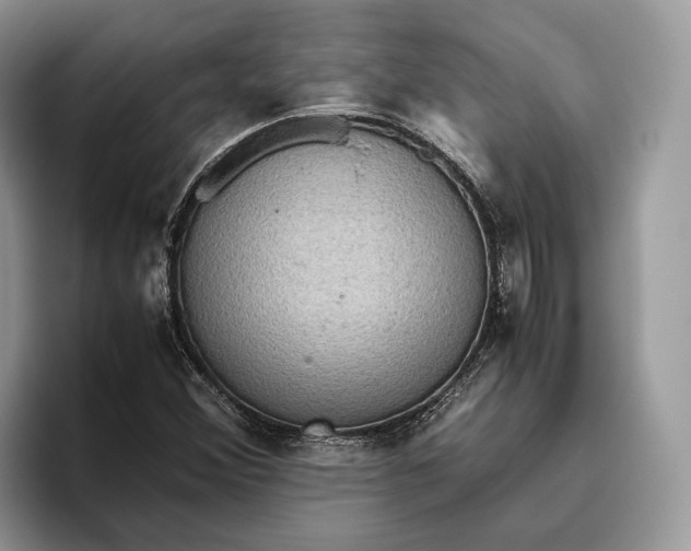 X0000095941356200802011033