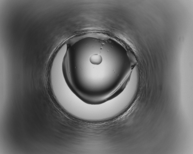 X0000095941357200802011033