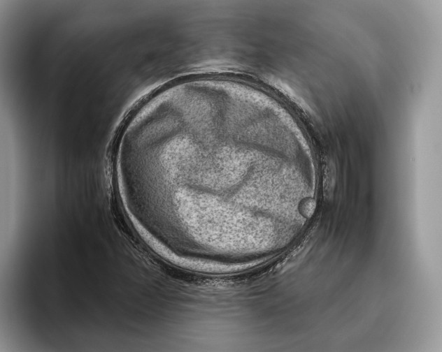 X0000095941358200802011033