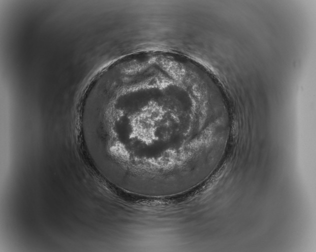 X0000095941359200802011033