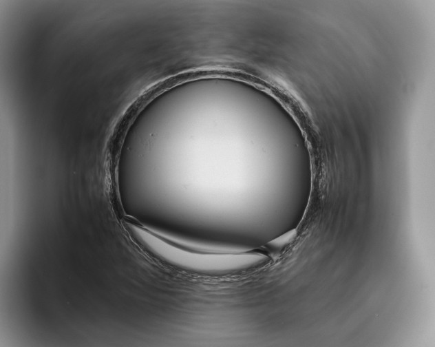 X0000095941360200802011033