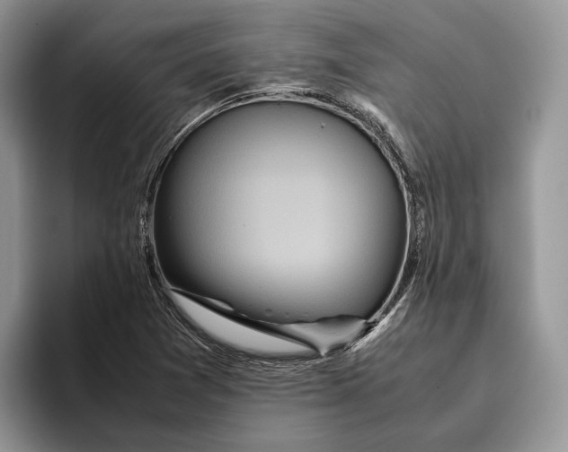 X0000095941361200802011033