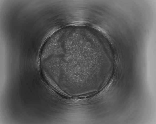 X0000095941362200802011033