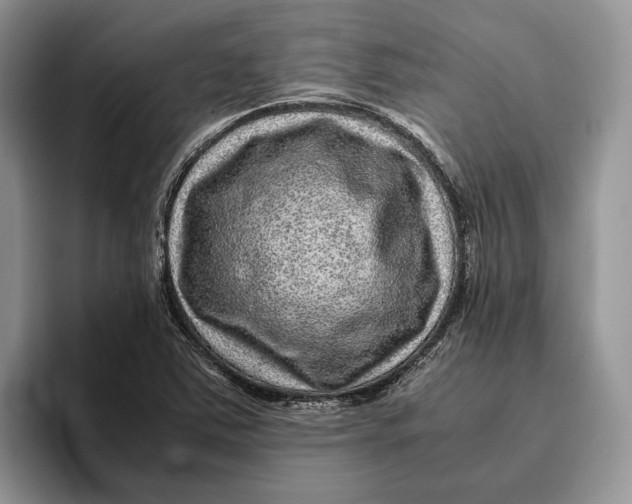 X0000095941363200802011033