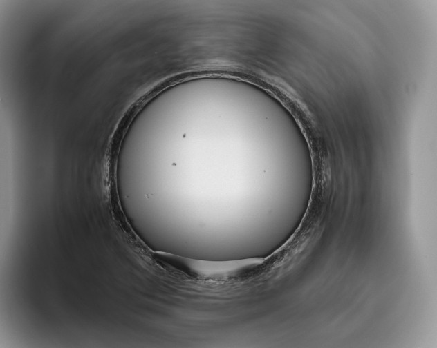 X0000095941364200802011033