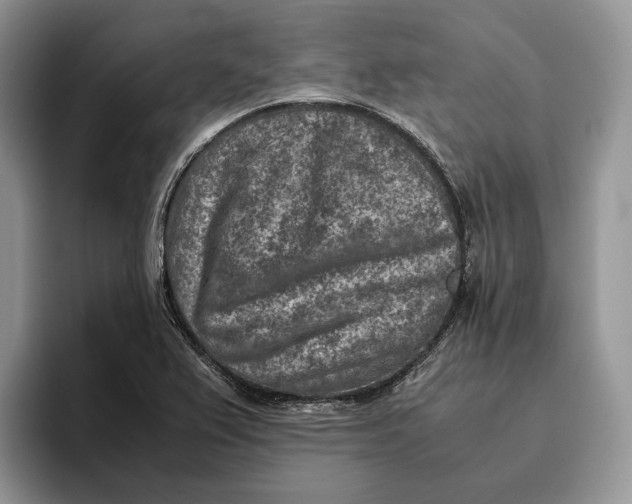 X0000095941367200802011033