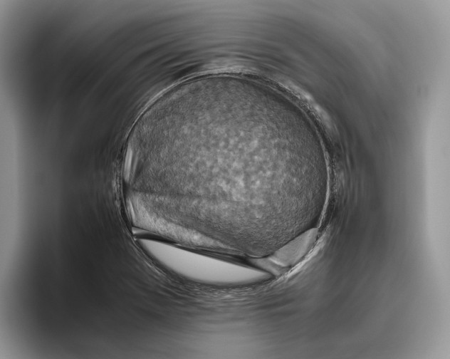 X0000095941369200802011033