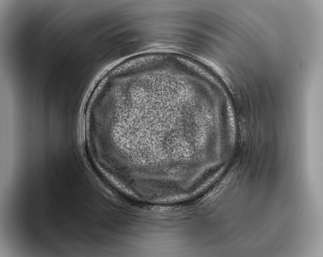 X0000095941371200802011033