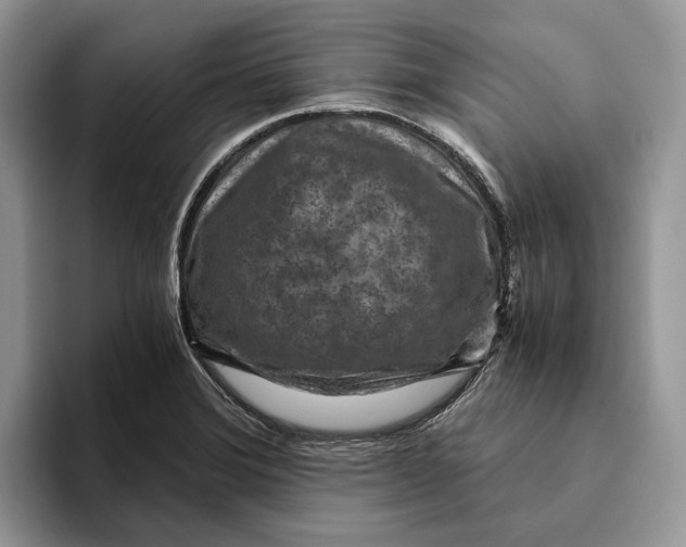 X0000095941372200802011033