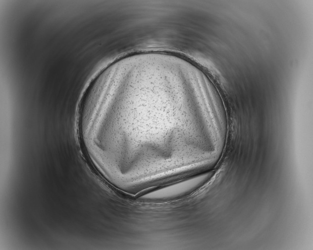 X0000095941374200802011033