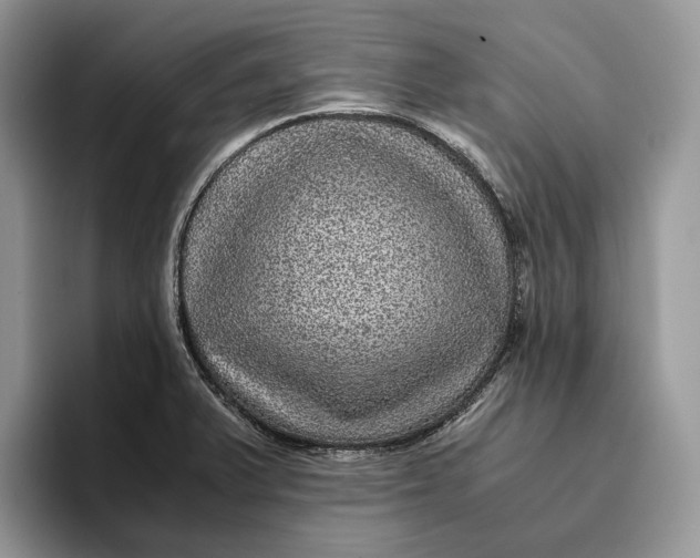 X0000095941375200802011033