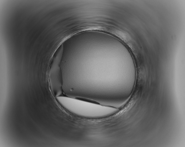 X0000095941377200802011033