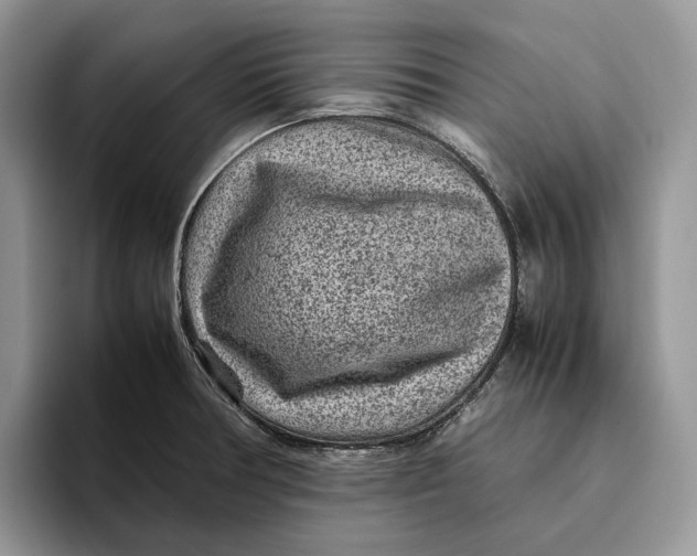 X0000095941378200802011033