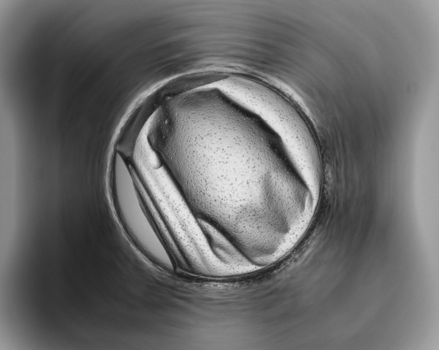 X0000095941379200802011033