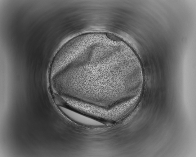 X0000095941382200802011032