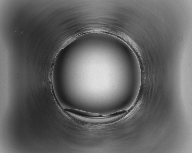 X0000095941385200802011032