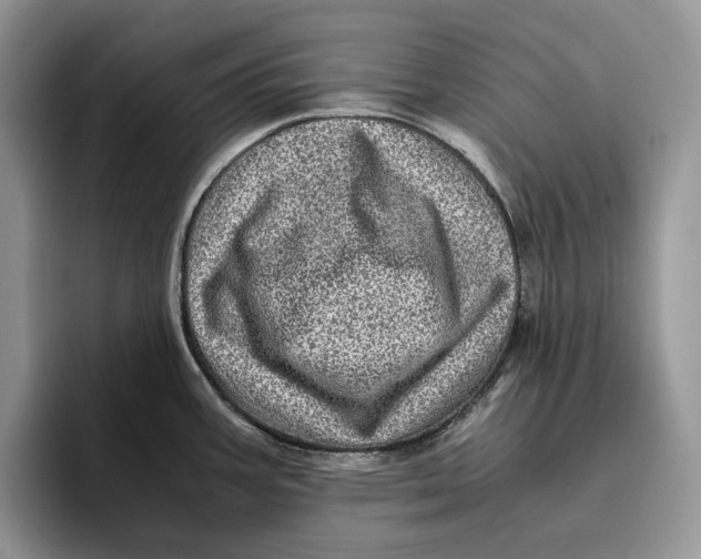 X0000095941387200802011032