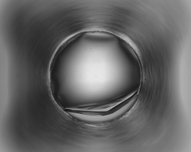 X0000095941388200802011032