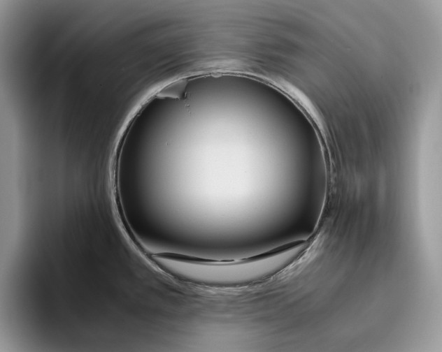 X0000095941389200802011032