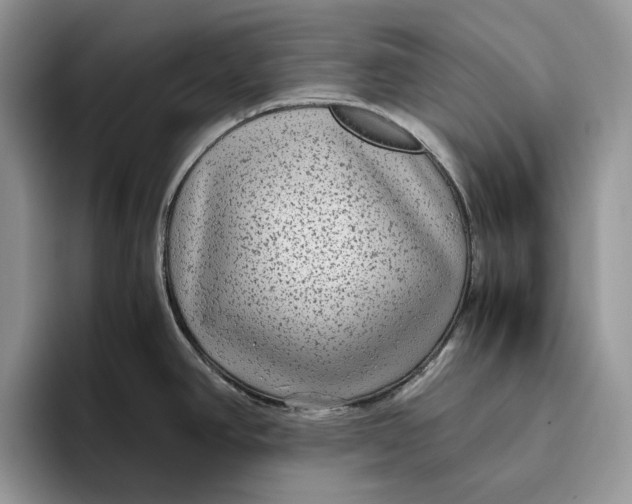 X0000095941390200802011032