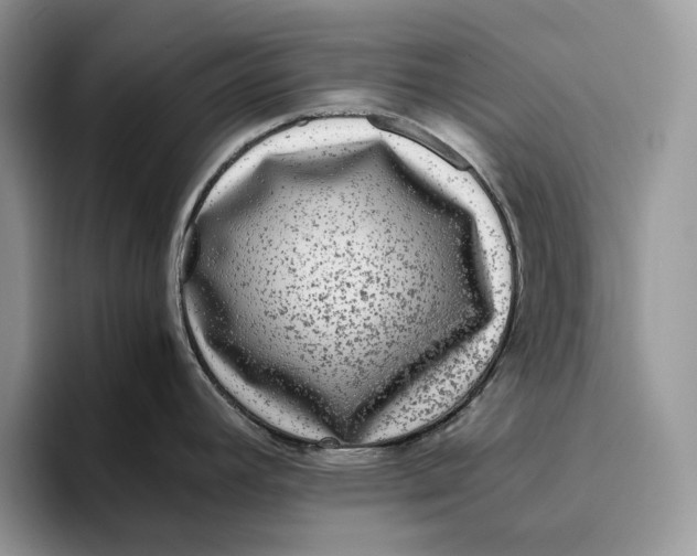 X0000095941392200802011032