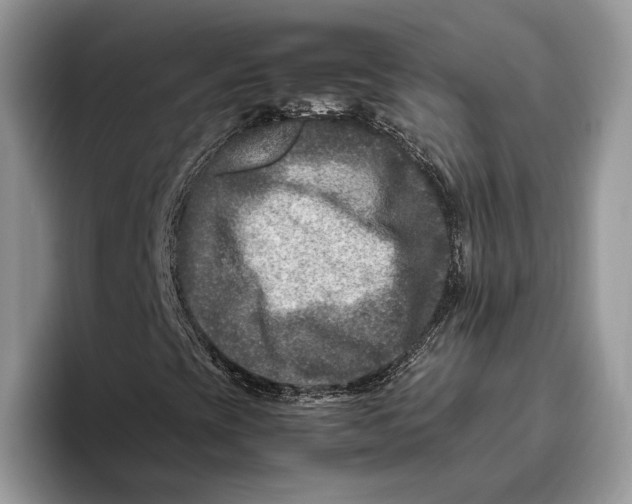 X0000095941393200802011032