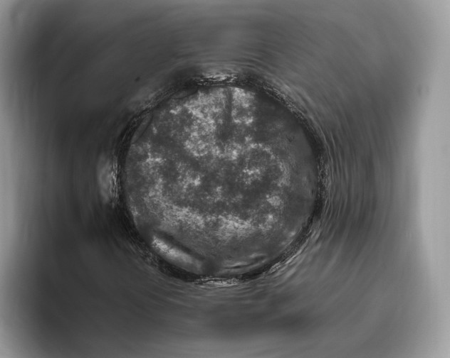 X0000095941394200802011032