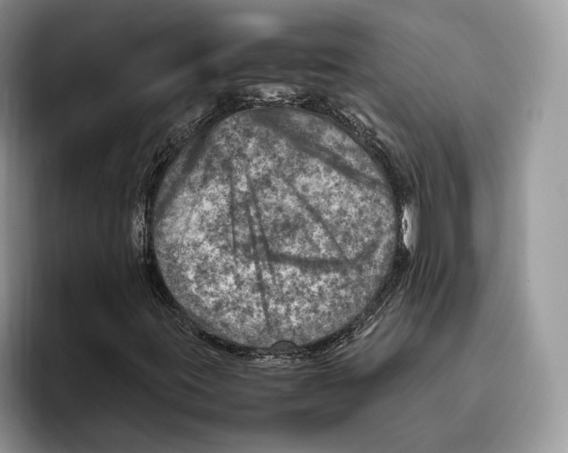 X0000095941395200802011032