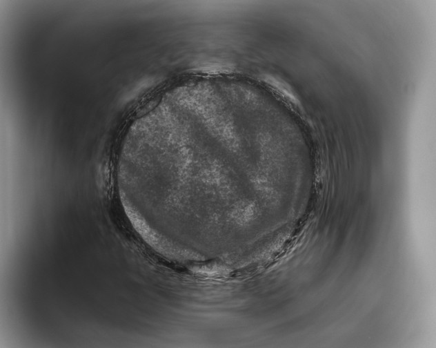 X0000095941398200802011032