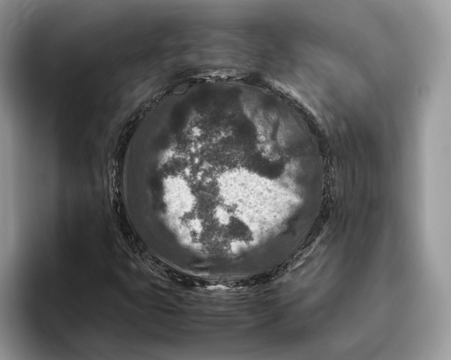 X0000095941399200802011032