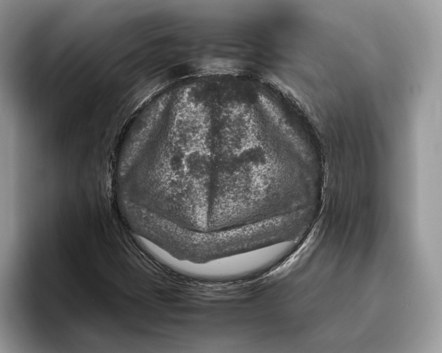 X0000095941401200802011032