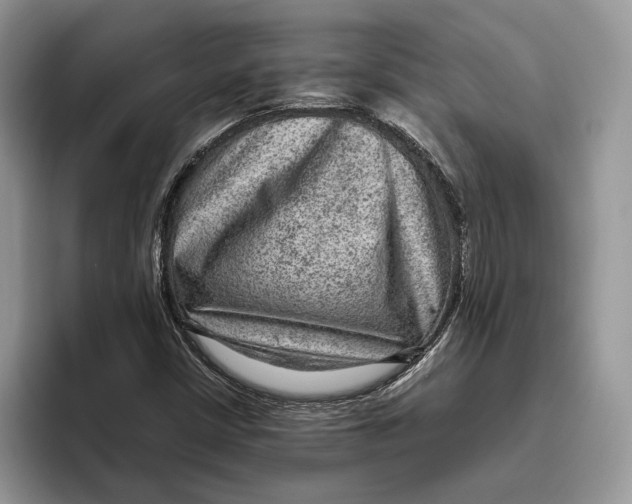 X0000095941402200802011032