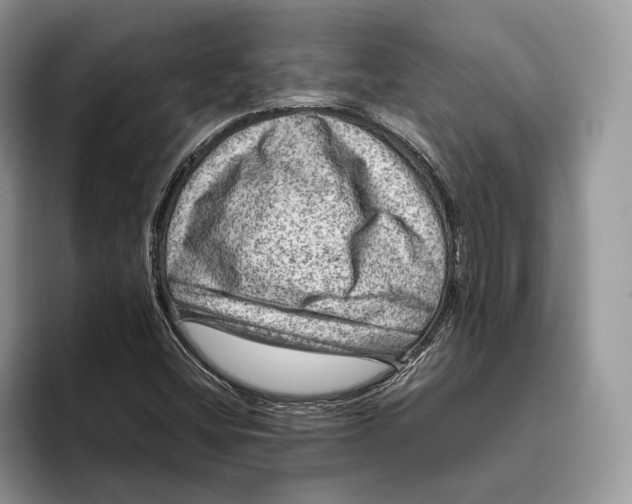 X0000095941404200802011032