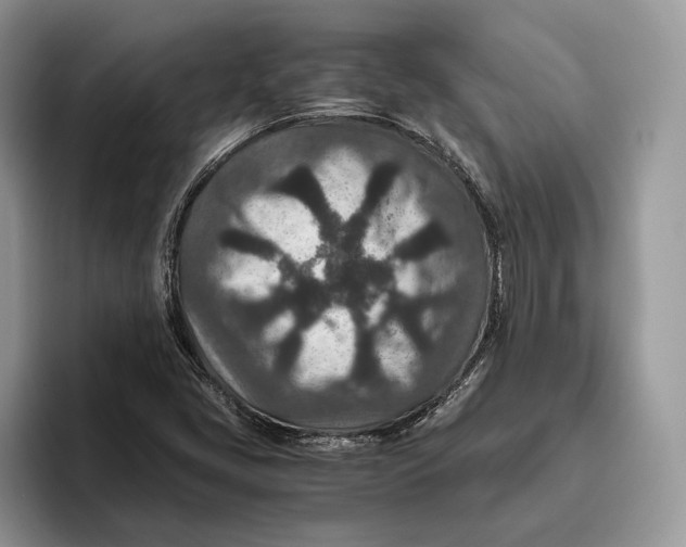 X0000095941405200802011032