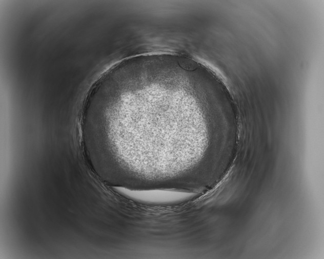 X0000095941407200802011032