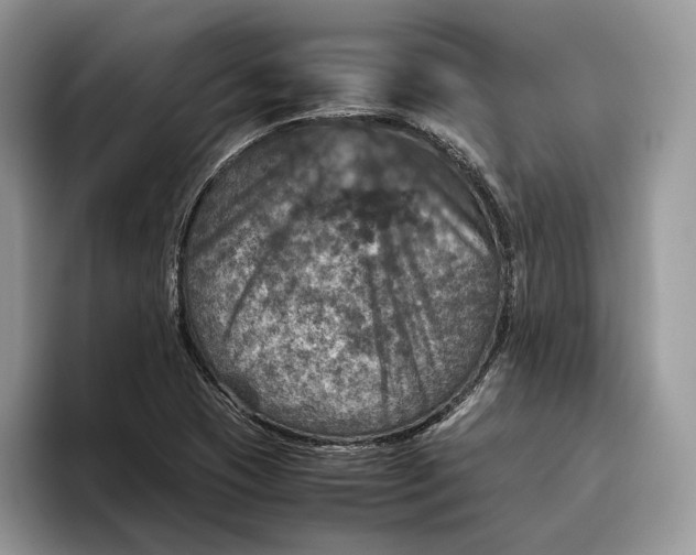 X0000095941409200802011032