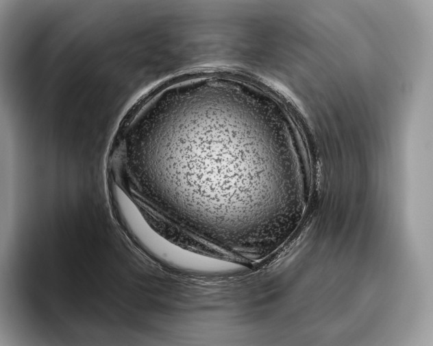 X0000095941412200802011032