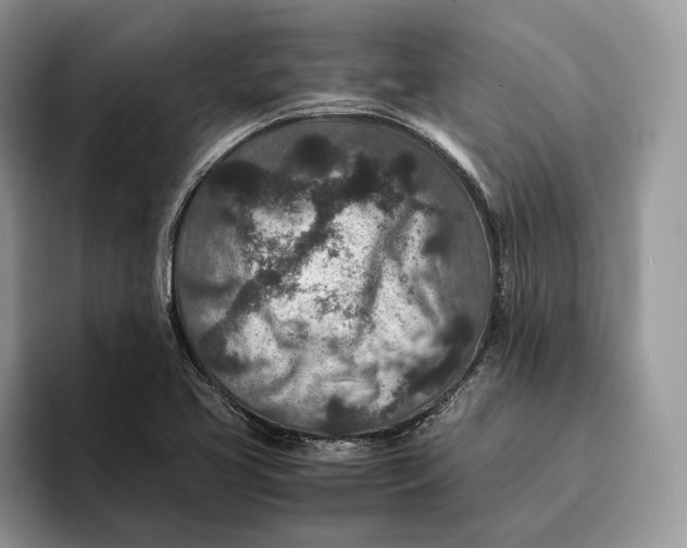 X0000095941413200802011032