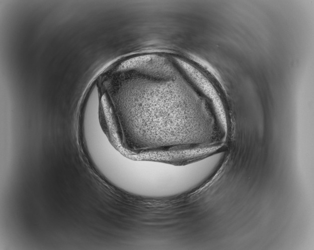 X0000095941415200802011032