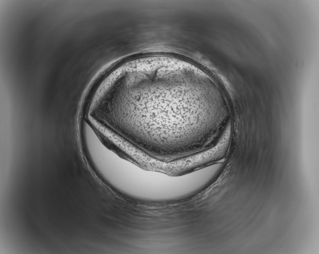 X0000095941416200802011032