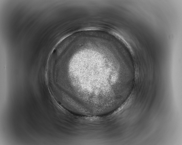 X0000095941417200802011032