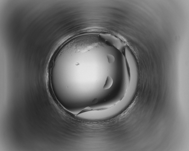 X0000095941418200802011032