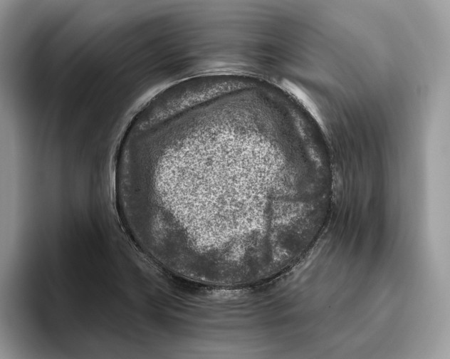 X0000095941419200802011032