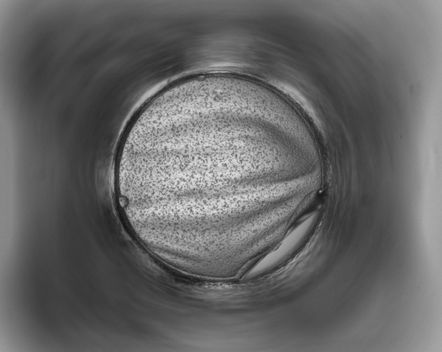 X0000095941420200802011032