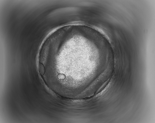 X0000095941421200802011032