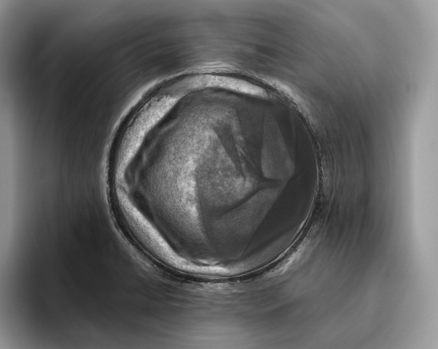 X0000095941422200802011032