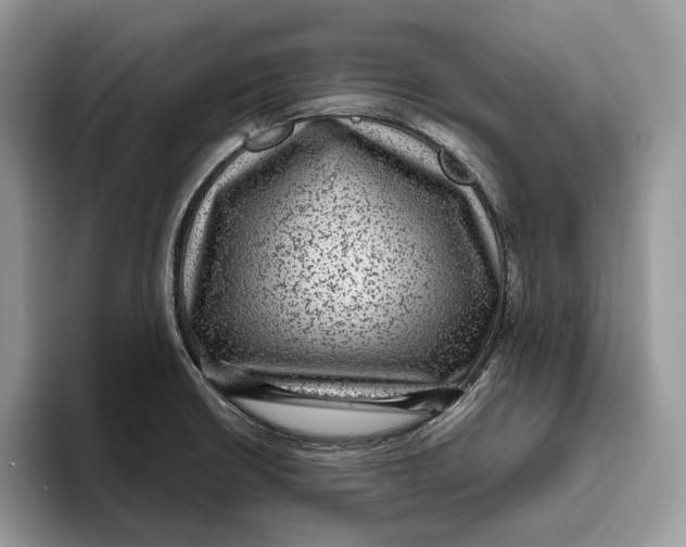 X0000095941426200802011032