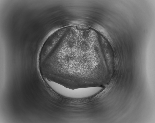 X0000095941427200802011032