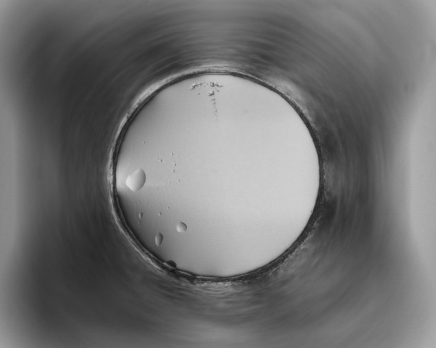 X0000095941428200802011032